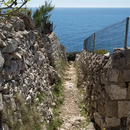 Ciolo Villa *