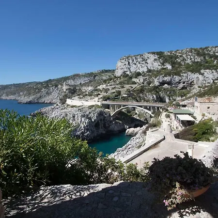 Ciolo Gagliano del Capo